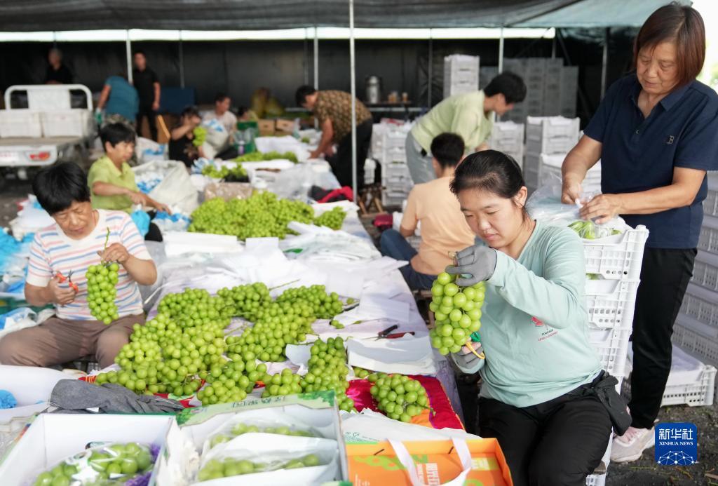 u乐平台最新登录网址